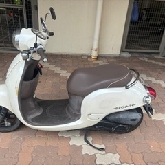 原付バイク本田ジョルノの画像