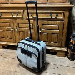 SWANY トラベルキャリー（グレー）キャリーバッグの画像