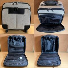 SWANY トラベルキャリー（グレー）キャリーバッグの画像