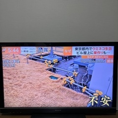 テレビ