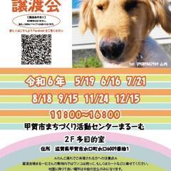 7月21日 保護犬　保護猫　譲渡会