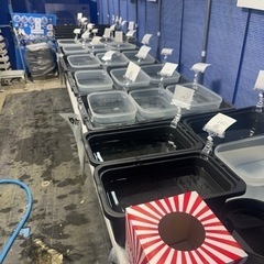 陽めだかメダカ無人販売所　補充速報は公式LINEよりお知らせしますの画像