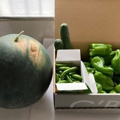 すいかと野菜セット