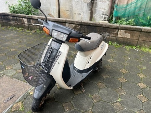 バイク　ミント