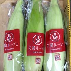 摘み取り農園の再開園とお詫び