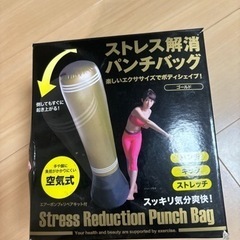 パンチバッグ