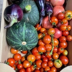 無農薬　野菜、トマトmix  9kg前後
