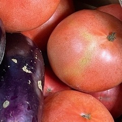 無農薬　野菜、トマトmix  9kg前後の画像