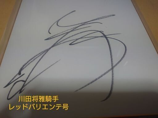 JRA　川田将雅騎手　サイン