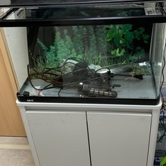 ガラス水槽セット60センチ(水槽台別売 )