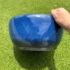 信楽焼容器　めだか飼育ケースの画像