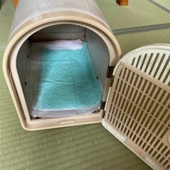 キャリーバッグ　　値下げしましたの画像