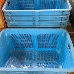 青カゴ大きめ約17個