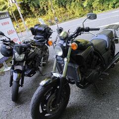 バイクツーリング仲間募集