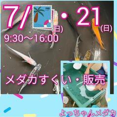 7/21(日)焼津ジョイフルパルさん　メダカすくい・販売　よっち...