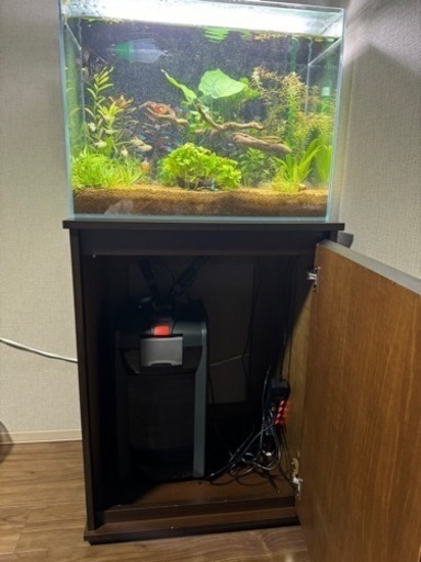 60水槽フルセット