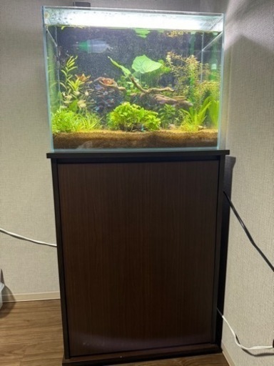 60水槽フルセット