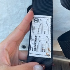 タジマ  フルハーネスの画像