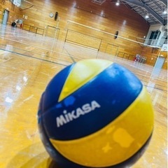 男女混合バレーメンバー募集！初心者歓迎です！