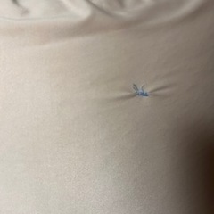 ヨギボー無料で譲りますの画像