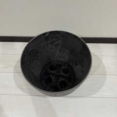 鉢カバー　鉢　肥料付きの画像