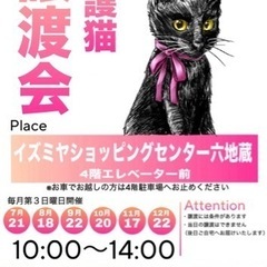 ７月21日（日）保護猫の譲渡会開催🐈