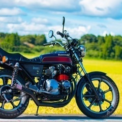 Z550FX