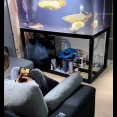 大型水槽　150水槽