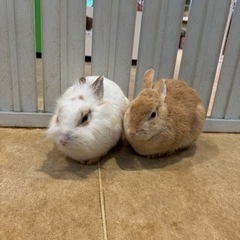 起きてる方いませんか？？