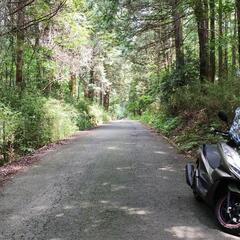 【平日】舗装された 千葉の林道ツーリング 友達募集 − 千葉県