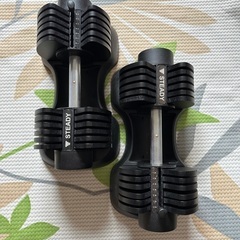 20キロ可変ダンベル✖️2 ベンチ台の画像