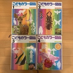 講談社 プログラム式 こどもカラー図鑑　全巻13巻セットの画像