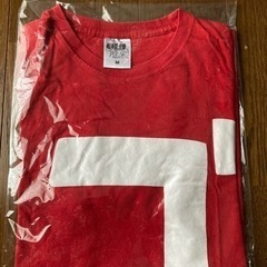 美品‼️ど根性ガエル　Tシャツ