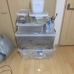 昆虫用品　ケース