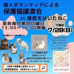 保護猫譲渡会