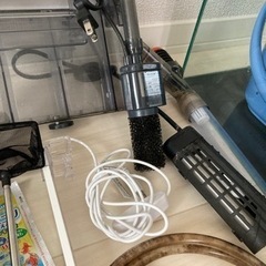 水槽セット　アクアリウムの画像