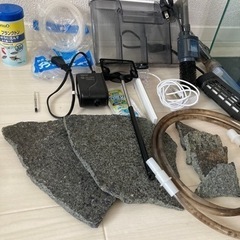 水槽セット　アクアリウムの画像