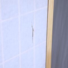 ◆ 　ついたて　　　#29610　◆の画像