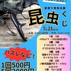 道の駅むなかた　昆虫クジ