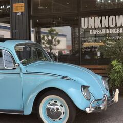 モーニング、ランチ、バータイム時のホール、キッチンスタッフ募集 
