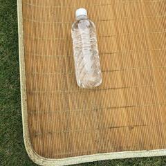 ござ（1点）の画像