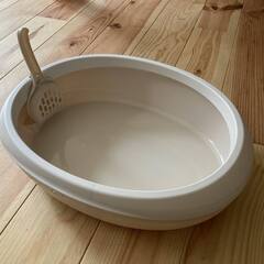 猫トイレ　新品　リッチェル　白