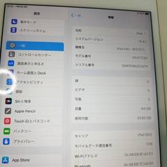 【SIMロック解除済】iPad mini 第5世代/64GB/A2124〈MUX72J/A〉の画像