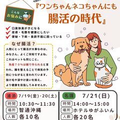 (浦添)ワンちゃんネコちゃんにも腸活の時代