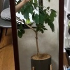 リビングスタンドミラー