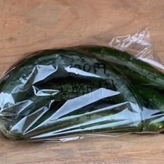 きゅうり無人販売！