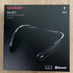 AQUOSサウンドパートナー AN-SS1