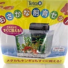 【お引取り決定】🐟未開封🐟テトラ🐟ミニアクアリウム お魚飼育　２セット の画像