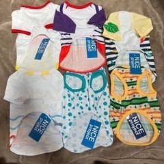 犬　服　S　男の子　タグ付き新品の画像