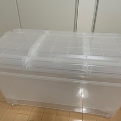 キャリコオレア　クリア　2個